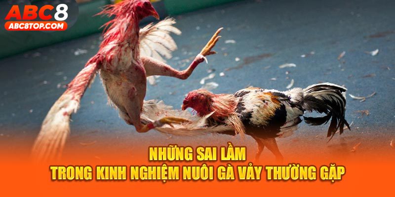 Những sai lầm trong kinh nghiệm nuôi gà vảy thường gặp