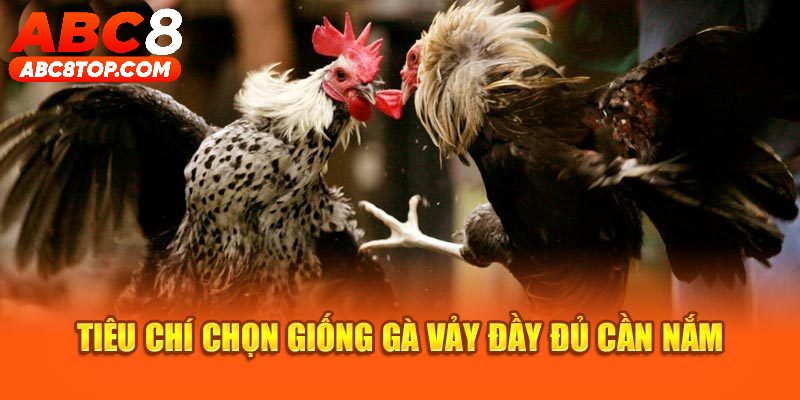 Tiêu chí chọn giống gà vảy đầy đủ cần nắm